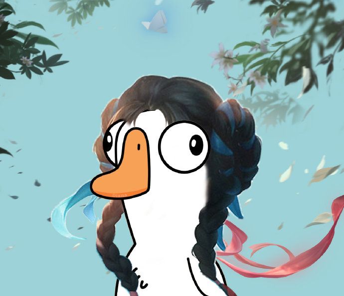 鸭鹅杀兑换代码