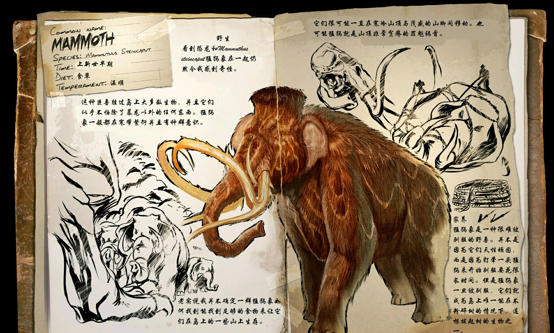 方舟泰坦龙代码