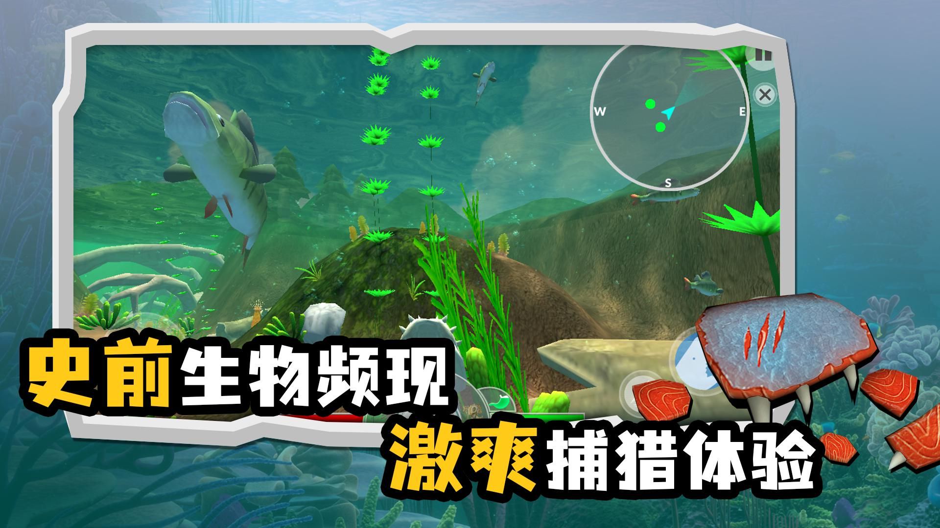 水生鱼类丰富多样
