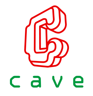 CAVE Interactive CO.,LTD.