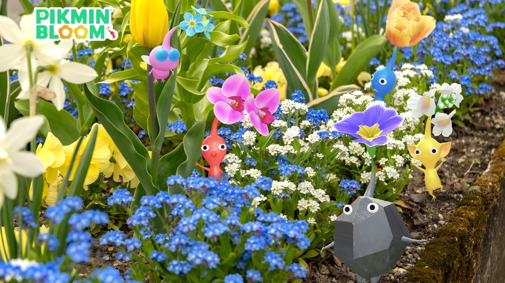 Pikmin Bloom四周年半纪念社群周即将登场！收集错过的种植员徽章