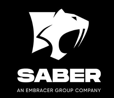 Saber Interactive Inc