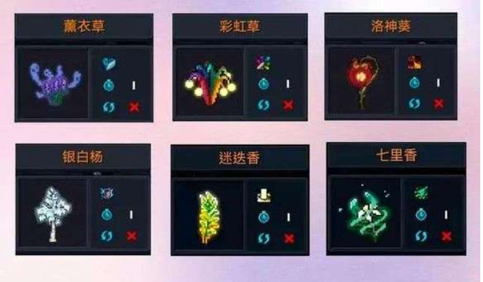 元气骑士迷迭岛植物作用